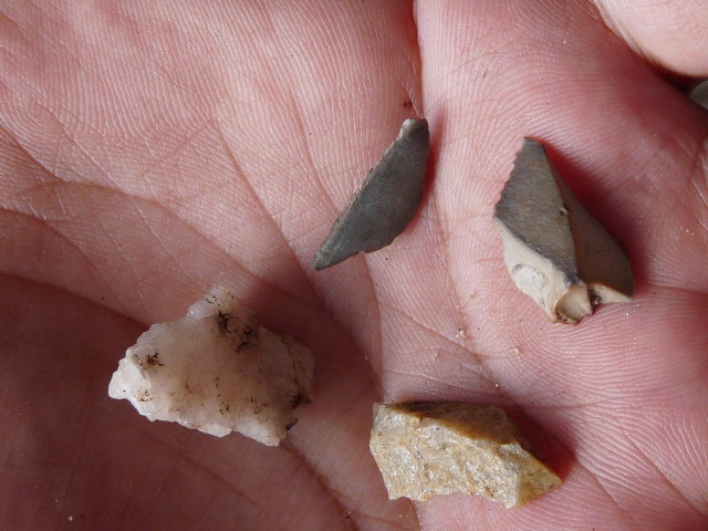 Stone scrapers, microliths In Wiradjuri country